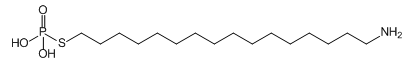 チオホスホネート アルキルホスホン酸 アルキルリン酸 金属酸化物表面 ホスホン酸 アルキルホスホン酸誘導体 アルキルチオホスホネート thiophosphonate phosphoric acid phosphonate